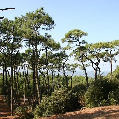 Maison à 500m De La Pour 4 *