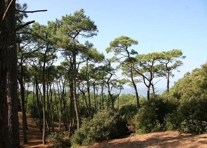 Maison A 500m De La Pour 4 *